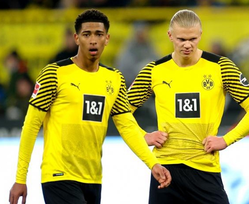 假开龙真包 假开龙真包